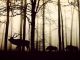 In the Belly of a ‘New’ Culture: Paradigmatic Foregrounding in Solo Osofisan’s ‘Sin-Eater’